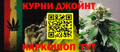 гашик Бузулук