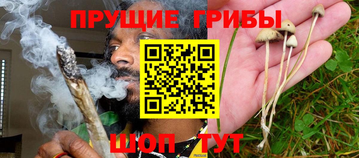 Галлюциногенные грибы GOLDEN TEACHER Котлас