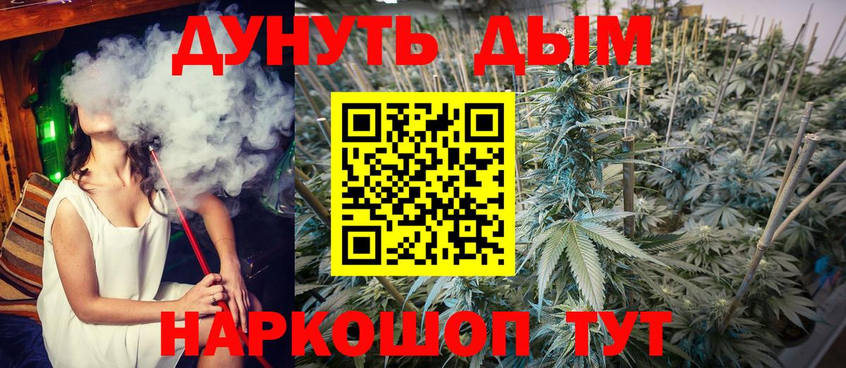Конопля SATIVA & INDICA Котлас